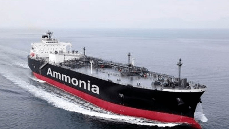 China Amines Co