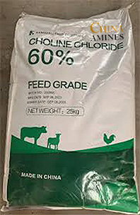 CHOLINE CHLORIDE 60%  CORN COB